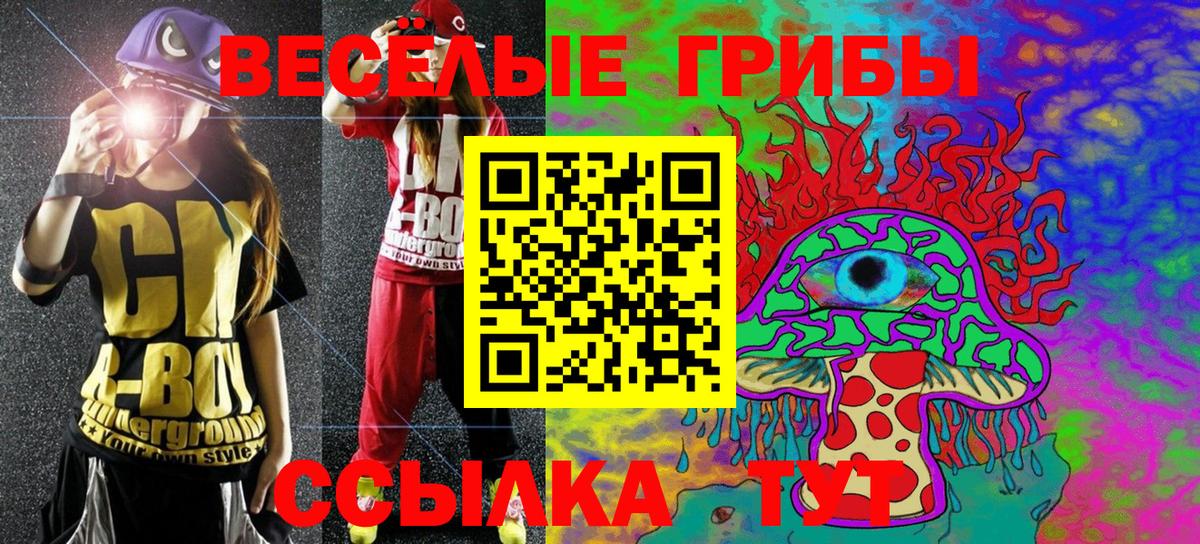 Псилоцибиновые грибы Cubensis Сунжа