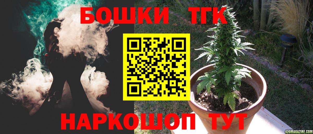 Бошки Шишки семена Сунжа